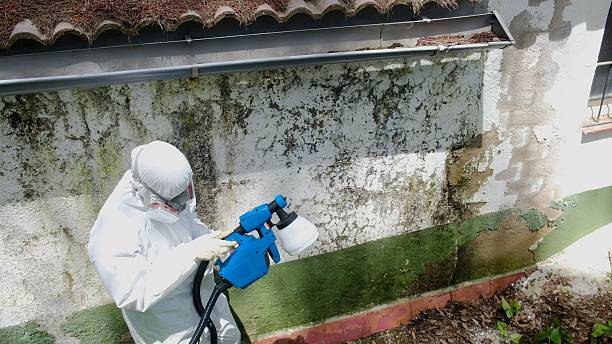 Trusted Mold Testing service in Rockville, MD - Cheap Mold Removal